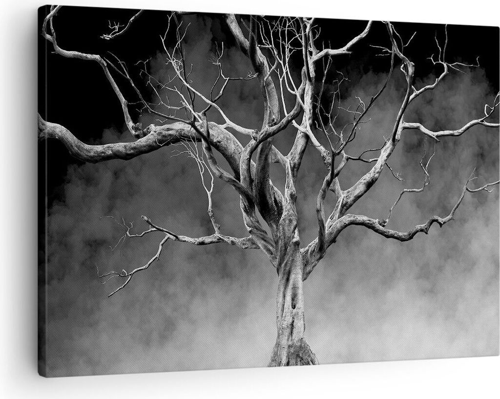 Bild auf Leinwand - Leinwandbild - Einteilig - Schwarzweiß Äste Rauch - 70x50cm - Wand Bild - Wanddeko - Wandbilder - Leinwanddruck - Bilder - Wa...