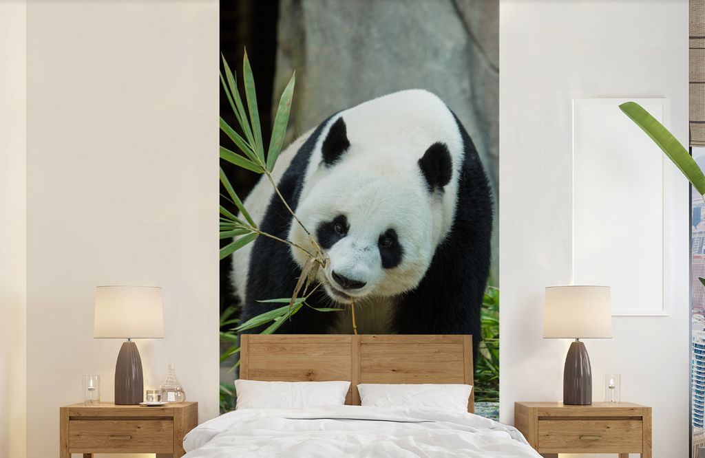MuchoWow Fototapete für Wohnzimmer oder Schlafzimmer Wandtapete Vinyl Motivtapete Panda - Baumstamm - Höhle - 120x240 cm - Hintergrundbild