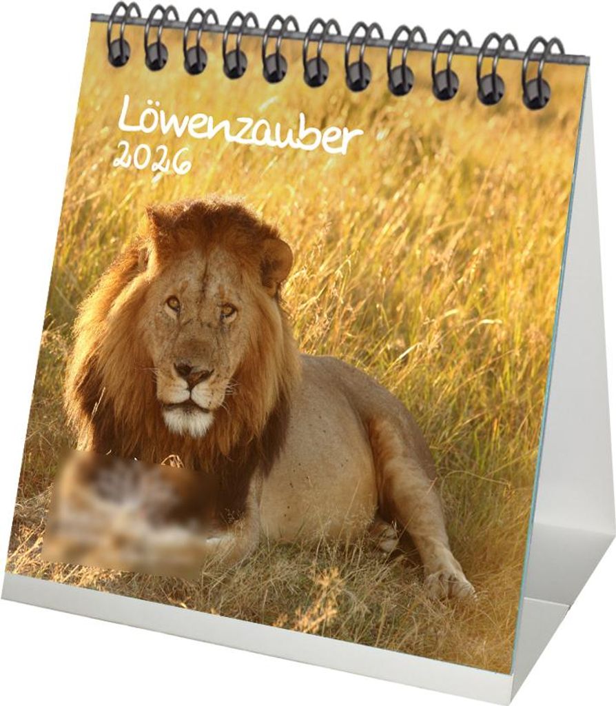 Seelenzauber Tischkalender Wasserzauber Kalender Für 2025 Format 10cm X 10cm Wasser Wasserfall S0kau0ed