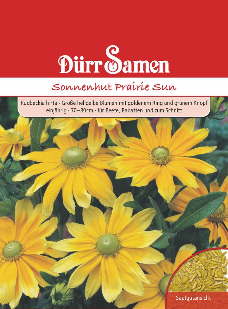 Sonnenhut Prairie Sun | Sonnenhutsamen von Dürr Samen Produktbild 
