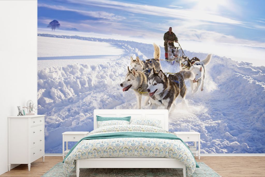 MuchoWow Fototapete für Wohnzimmer oder Schlafzimmer Wandtapete Vinyl Motivtapete Huskys für Hundeschlitten - 390x260 cm - Papiertapete