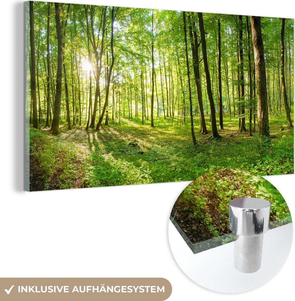 MuchoWow Glasbilder - Bilder auf Wandbild - Foto auf Glas Natur - Bäume - Wald - Grün - Sonnenlicht 120x60 cm Wanddekoration aus Glas - Acrylglas...