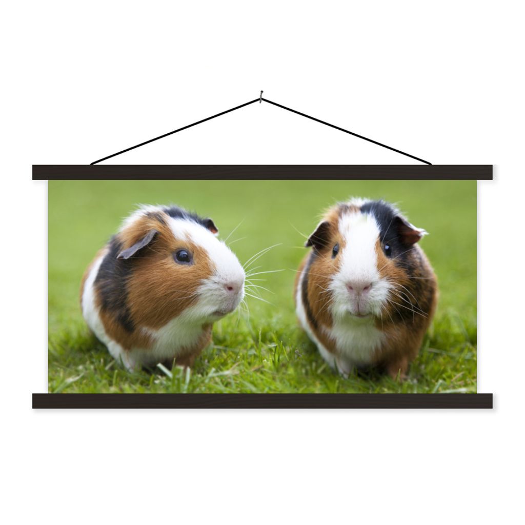 MuchoWow Textilposter Zwei Meerschweinchen 60x30 cm mit schwarzem Rahmen - Textilien