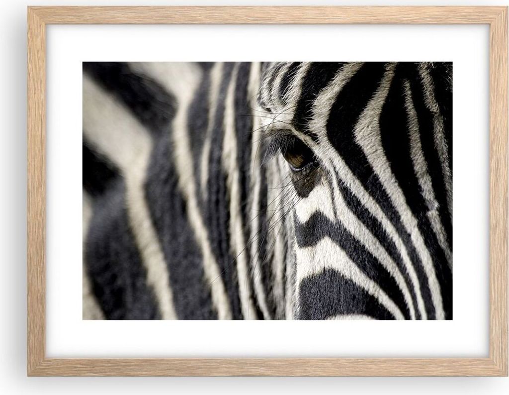 Gerahmtes Poster - Rahmen in heller Eiche - Zebra Streifen Tierwelt Safari - 40x30 cm - Wand Bild - Wanddeko - Wandbilder - Wandposter - Bilderrahm...
