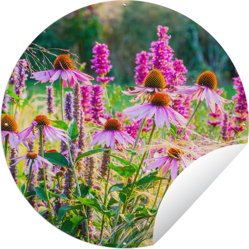 MuchoWow Gartenposter Outdoor-Poster Rund Ziergras mit rosa Blüten Ø 120 cm Gartendeko Rundes Poster draußen