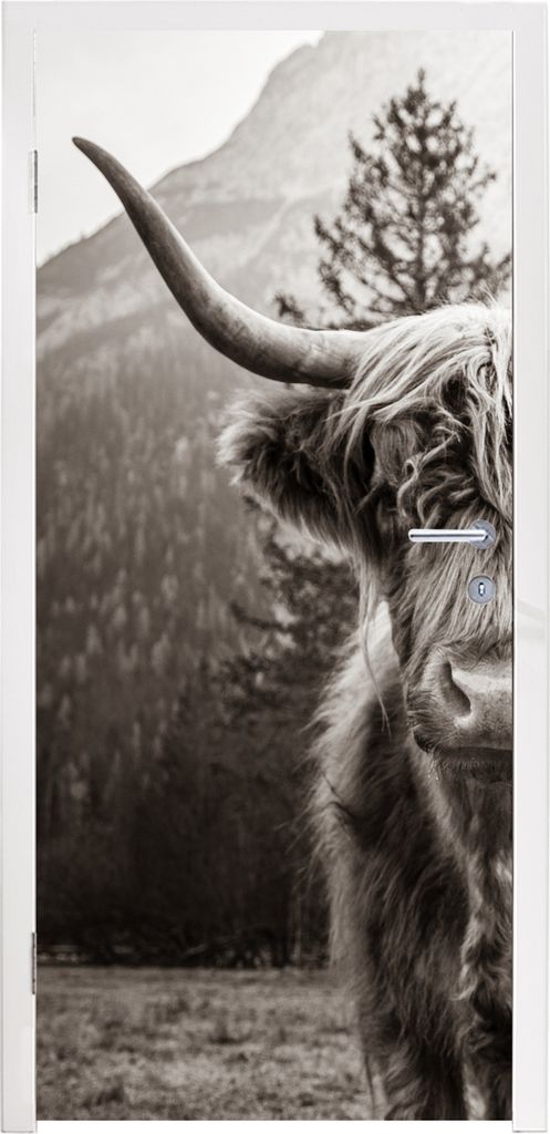 MuchoWow Türtapete Selbstklebende Türfolie Scottish Highlander - Stier - Schwarz - Weiß 75x205 cm Türposter Türaufkleber Klebefolie Türkleb...
