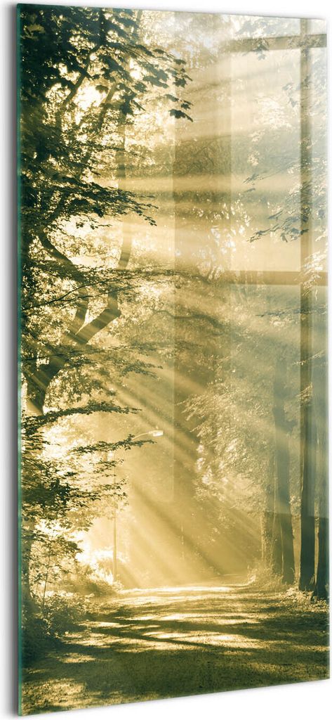 Designer Glasbild - Wandbild - Glas Bild - 60x120 cm - Sonnenstrahlen Im Wald
