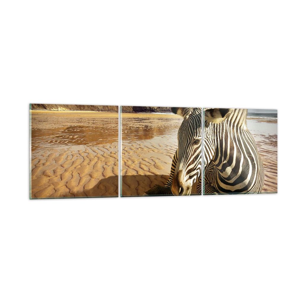 Bilder auf glas - Zebra Strand Landschaft - 90x30cm - Glasbilder - Wandbilder - Kunstdruck - zum Aufhängen bereit - Wanddekoration aus Glas - Glas...