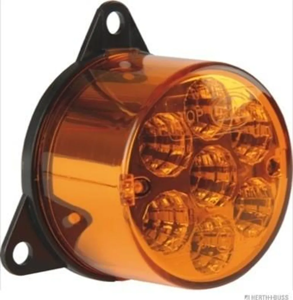 Feu Clignotant Latéral 54x39mm pour Iveco Eurocargo V Herth+Buss 83700105