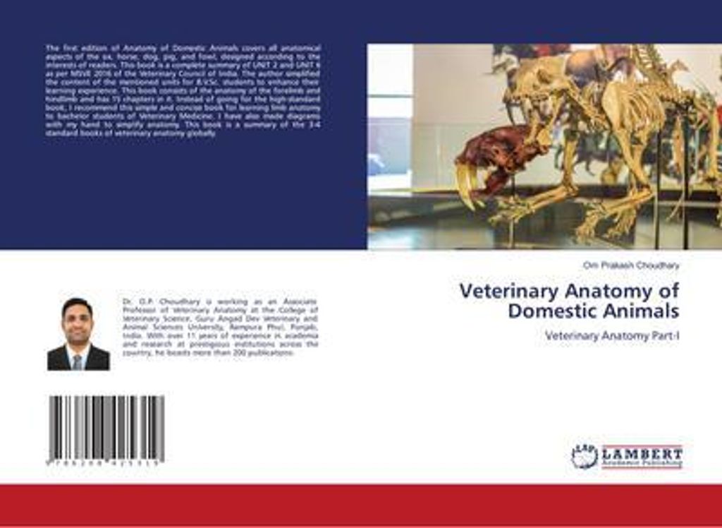 Veterinary Anatomy of Domestic Animals