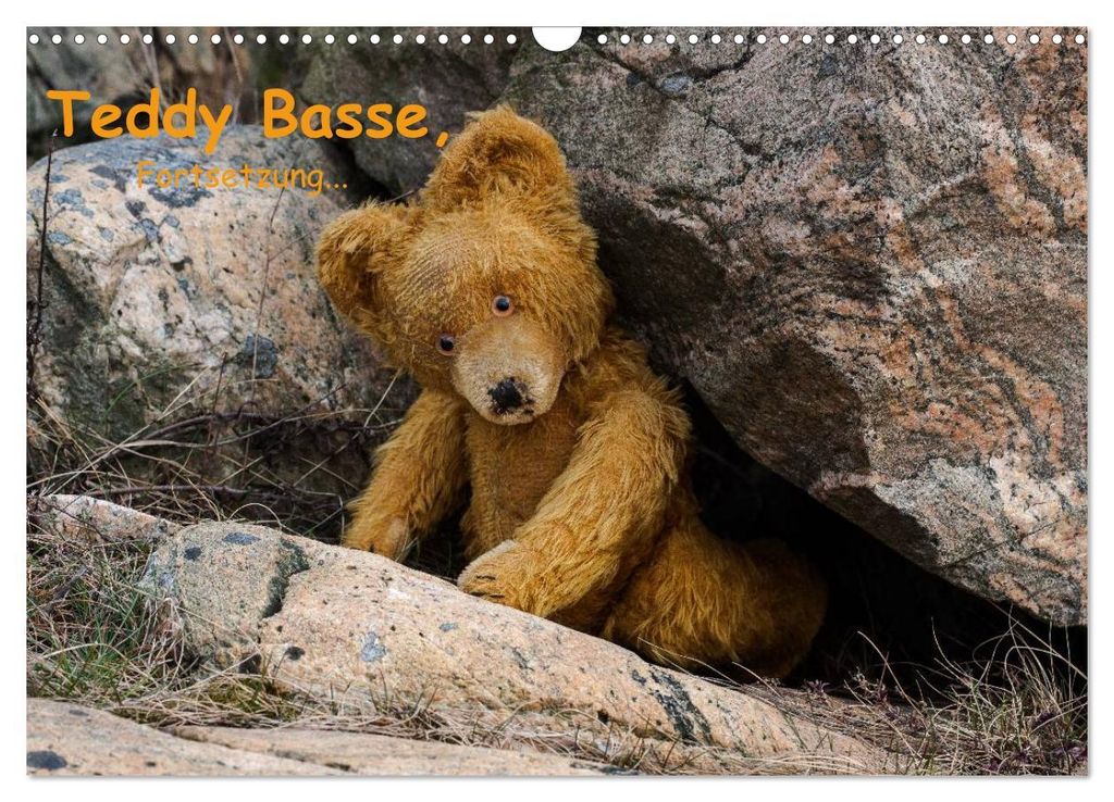 Teddy Basse, Fortsetzung... (Wandkalender 2027 DIN A3 quer), CALVENDO Monatskalender