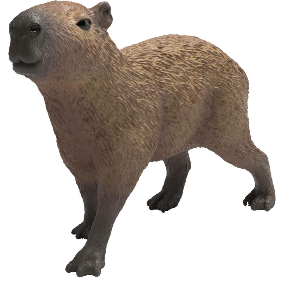 Capibara Immagine del prodotto 