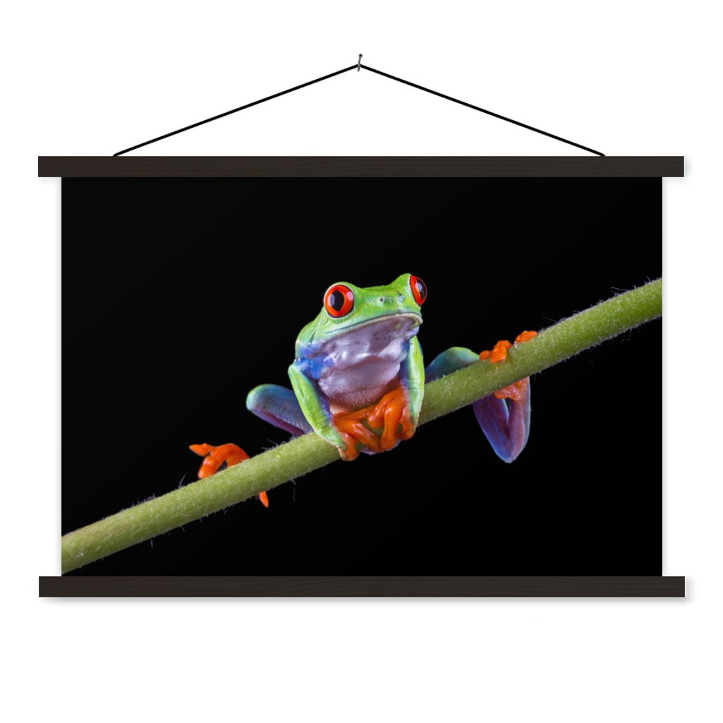 MuchoWow Textilposter Frosch - Pflanze - Schwarz 60x40 cm mit schwarzem Rahmen - Hölzernes