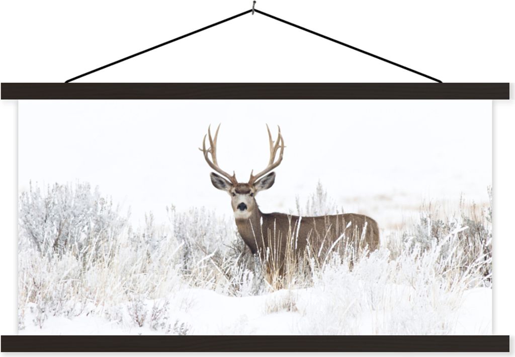 MuchoWow Textilposter Hirsche - Winter - Schnee - Tiere - Jahreszeiten - Weiß 60x30 cm mit schwarzem Rahmen - Textilien