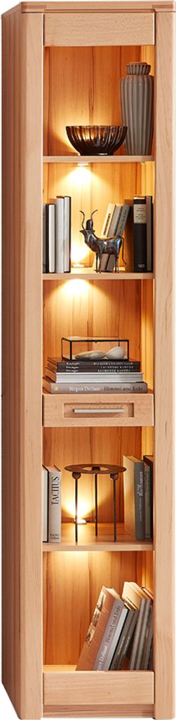 Regal mit Beleuchtung, Front Kernbuche massiv NEWTON-36