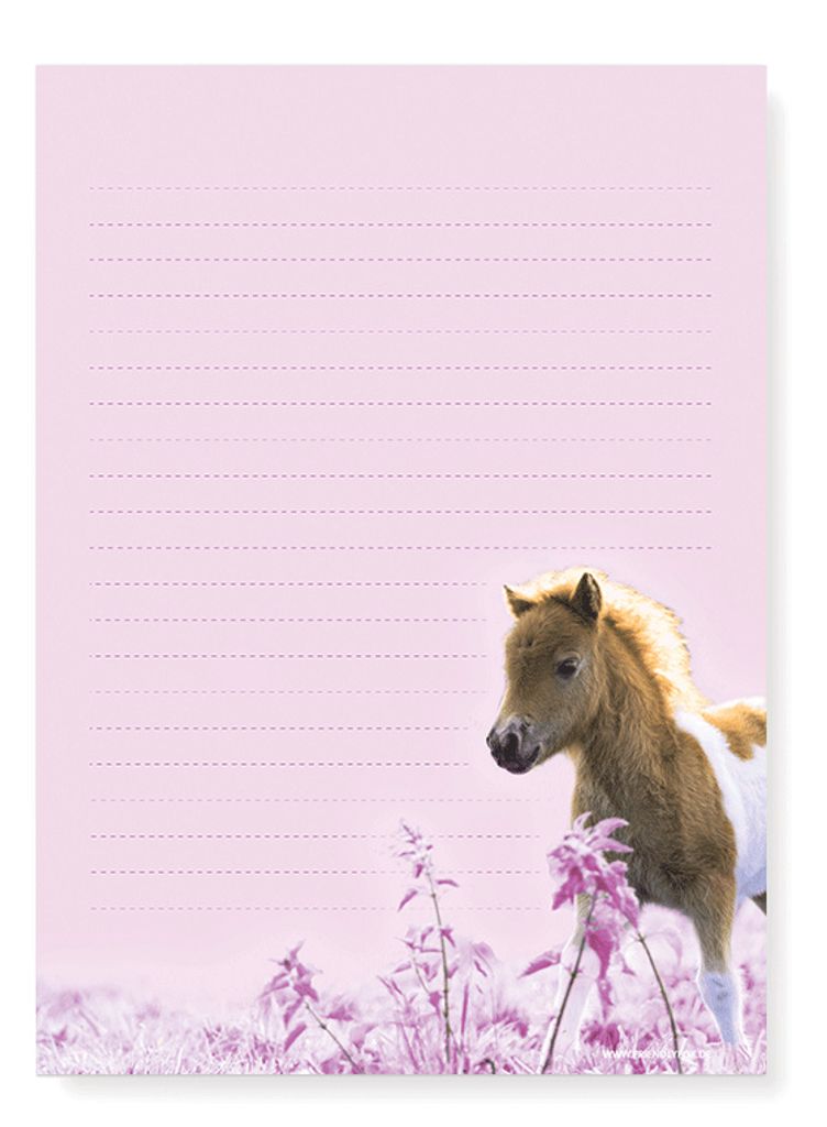 Mädchen Briefpapier rosa Pferd Kinder Briefe Kinder Briefpapier Pony 