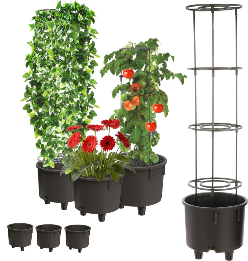 Topfeinsatz 3 Stck Einsatz Blumenstütze Ø38,5cm mit abnehmbarer Rahmen für Kletterpflanzen Modular für Tomaten Bohnen Erbsen Kunststoff Garten ...