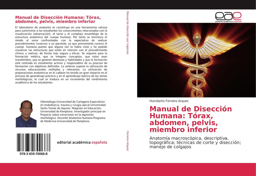 Manual de Disección Humana: Tórax, abdomen, pelvis, miembro inferior
