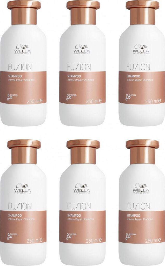 Fusion Intense Repair Shampoo 6x250 ml