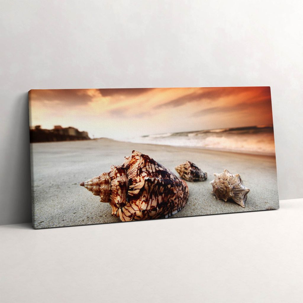 Muschel am Strand – Leinwandbild Wandbild – 120x60 cm – Leinwandbilder – Wandbilder – Schlafzimmer – Flur