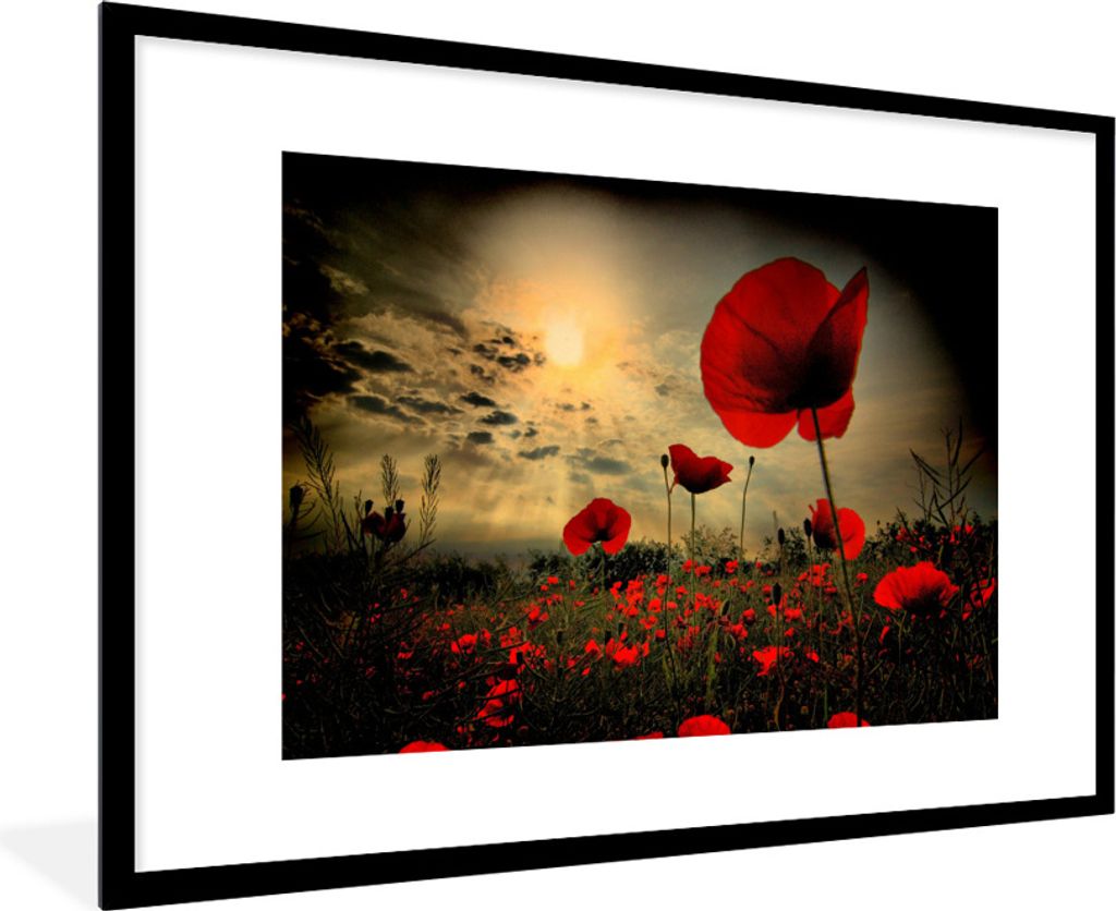 MuchoWow Gerahmtes Poster Mohnblumen am Abend 90x60 cm - Poster mit Schwarzem Bilderrahmen Wandposter Rahmen Foto Bilder - Wanddekoration - Fotos
