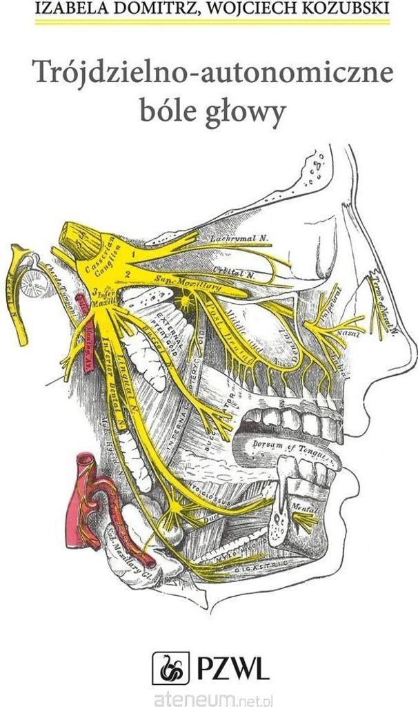 Trigeminale Kopfschmerzen