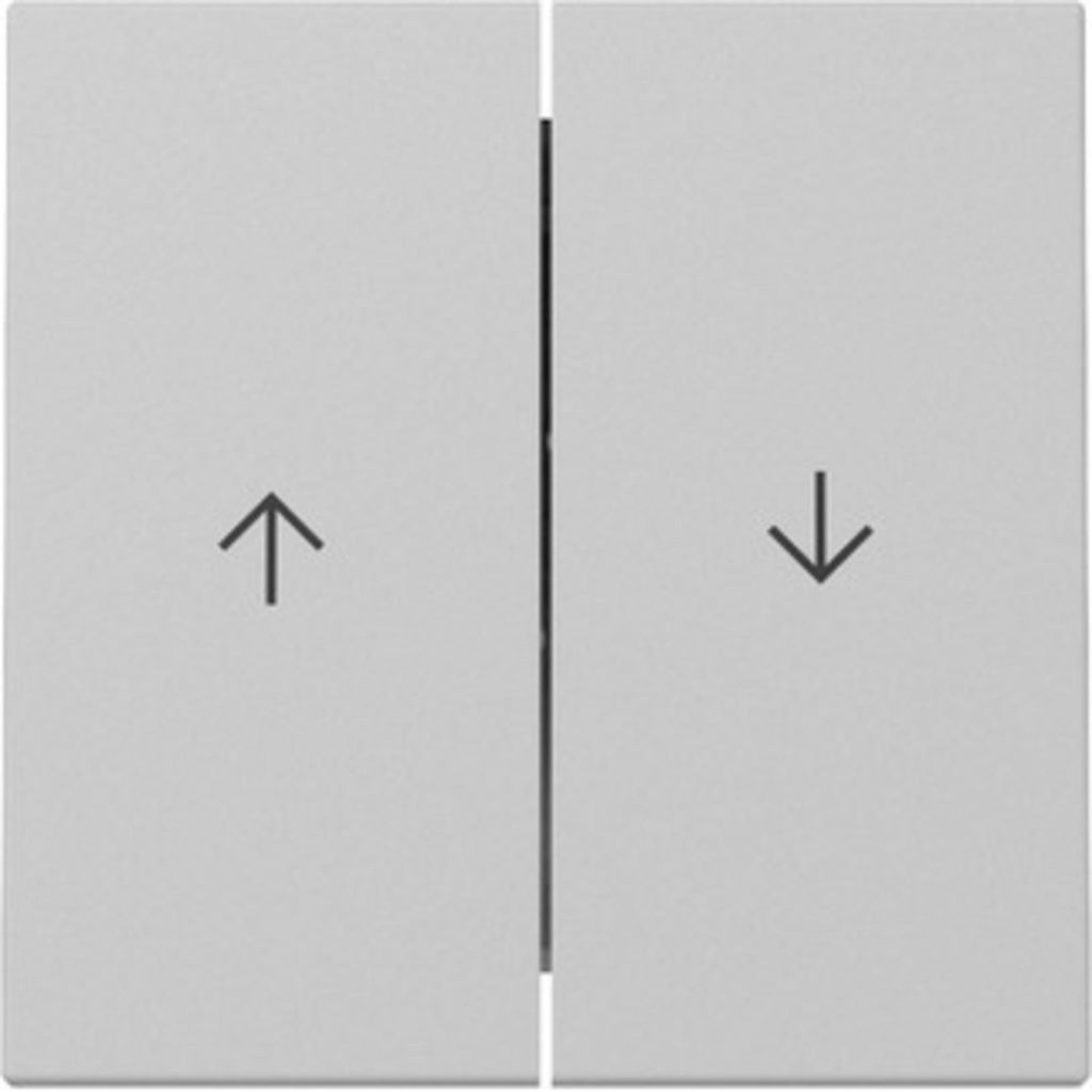 GIRA Wippe 3294015 2f Pfeil Sys.55 gr m (3294015) Produktbild 