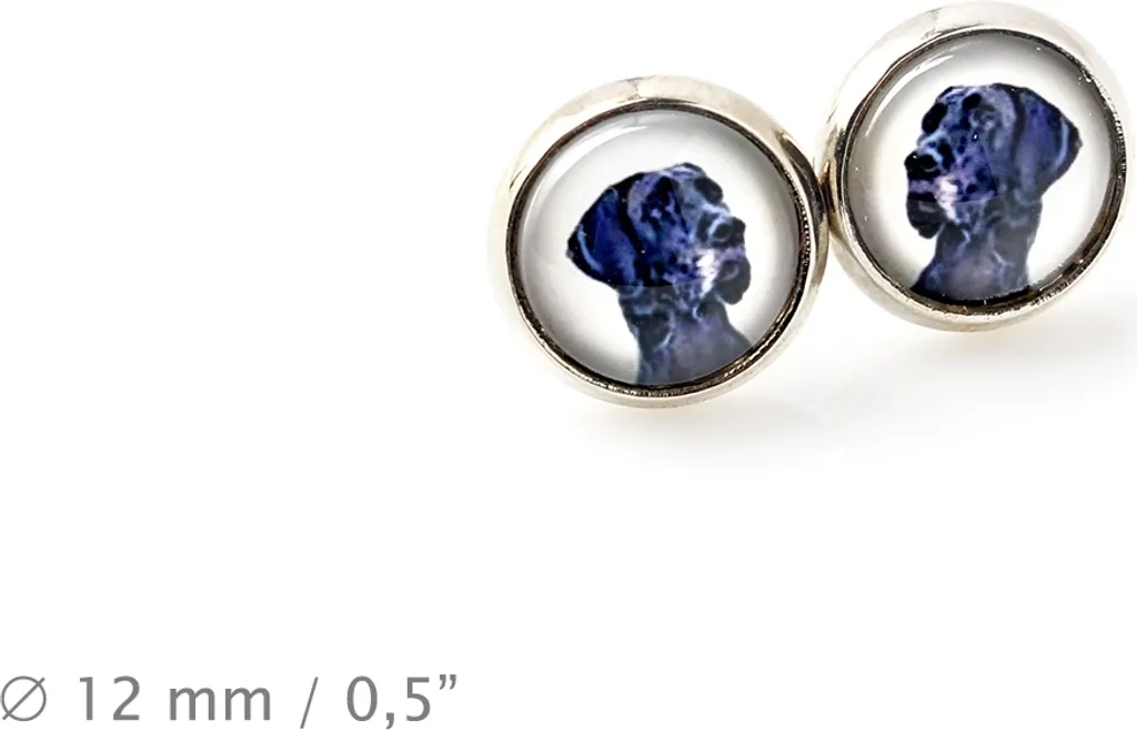 Set Gioielli Cane Alano Tedesco: Collana Cuoio e Metallo Anallergico