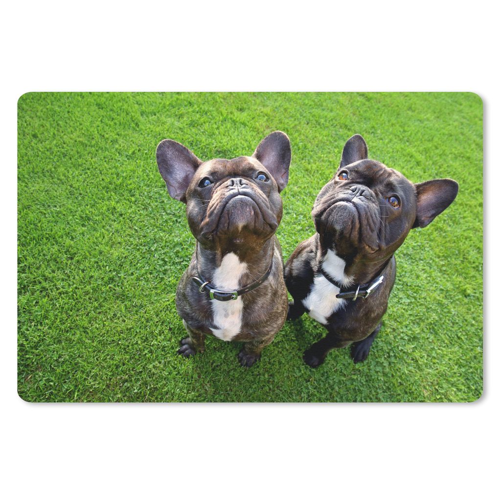 MuchoWow Mauspad Mousepad Französische Bulldogge - Gras - Halsband 27x18 cm - Mousepads - Maus Mat - Pad - Mausunterlage - Büroartikel - Desk M...