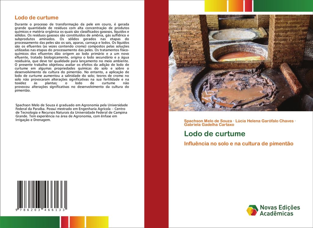Lodo de curtume