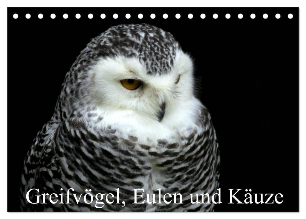 Greifvögel, Eulen und Käuze (Tischkalender 2027 DIN A5 quer), CALVENDO Monatskalender
