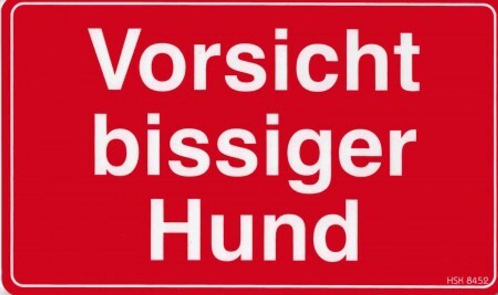 Hinweisschild - VORSICHT BISSIGER HUND - Gr. 25 x 15 cm - 308452 rot