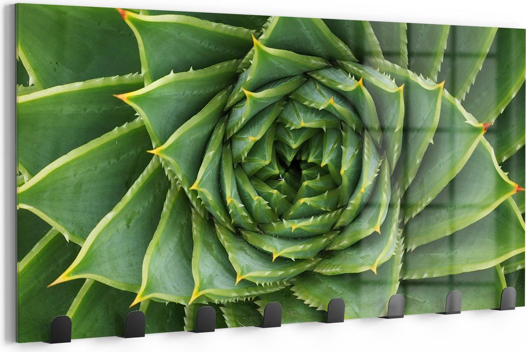 DEQORI Kleiderhaken Glas 60x30 cm 'Alchemie der Aloe' Wand Garderobe beschreibbar Paneel