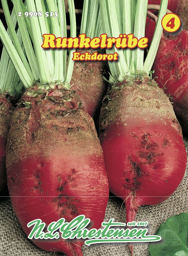 Artikelbild 1 von 'Runkelrübe Eckdorot' aus der Kategorie Rübensamen