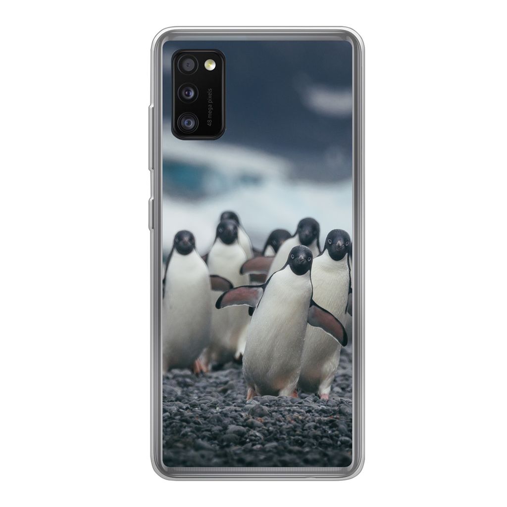 MuchoWow Handyhülle Schutzhülle Hülle für Samsung Galaxy A41 Adeliepinguine am Strand Silikon Softcase Handy Hülle - Mobiltelefon