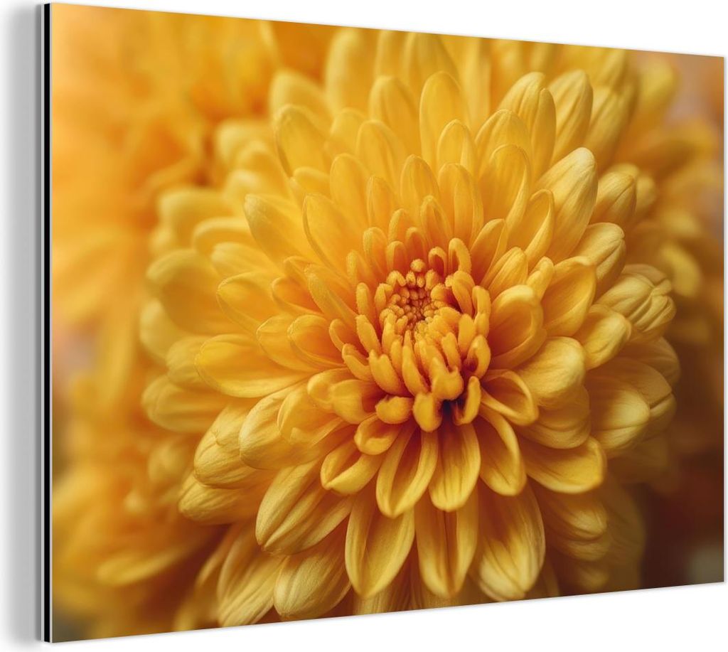 MuchoWow Wanddekoration Metall Metallbild Wandkunst 60x40 cm Gelb - Chrysantheme - Sanftheit MuchoWow Aluminium Gemälde - Gemälder