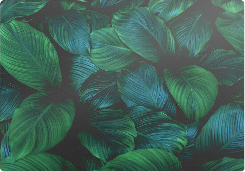 Tropische Blätter – Bodenschutzmatte – Stuhlunterlage 100x70 cm – Rutschfest – Hartbodenmatte