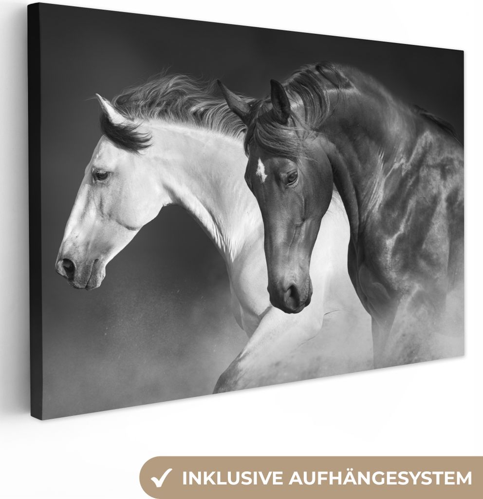 MuchoWow - Leinwandbilder - Pferde - Tiere - Schwarz - Weiß - Porträt, Wandbild, Wanddeko Bilder Wohnzimmer, 90x60 cm