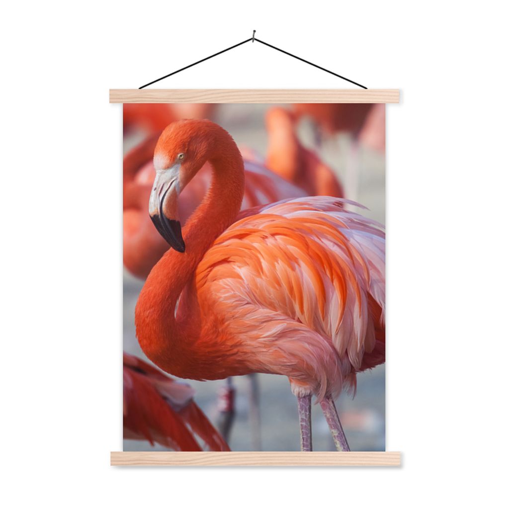 MuchoWow Textilposter Flamingo - Vogel - Tiere - Rosa 60x80 cm mit holzfarbenen Rahmen - Wandbild