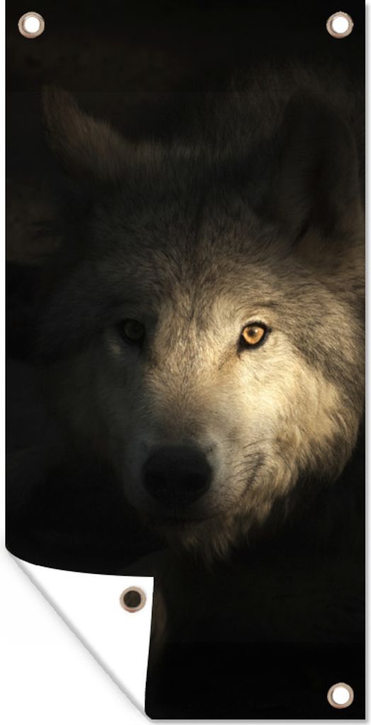 MuchoWow 40x80 cm Outdoor-Poster Gartendeko Sichtschutz Garten Poster für den Garten Porträt eines arktischen Wolfs