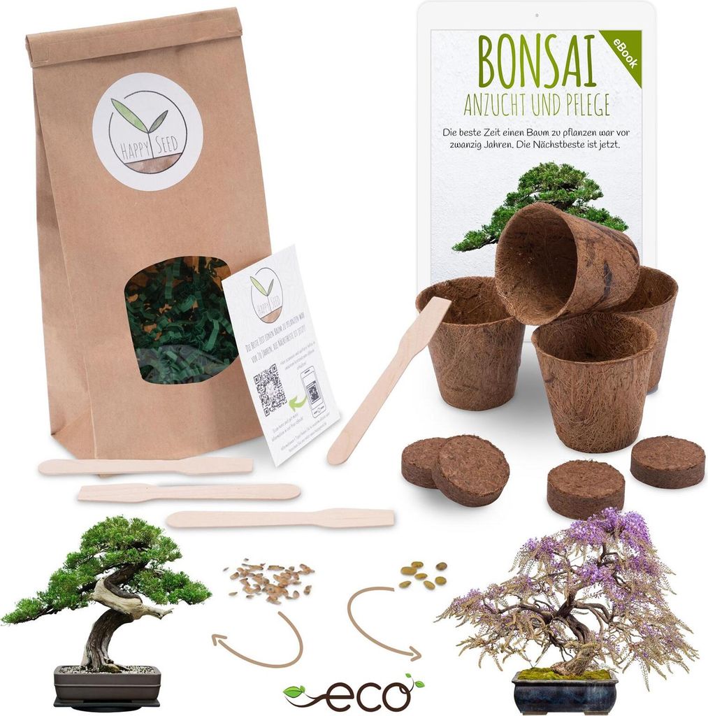 Bonsai Starter Kit Anzuchtset inkl. GRATIS eBook - Pflanzset aus Kokostöpfen, Samen & Erde (Afrikanischer Blauregen + Australische Kiefer)