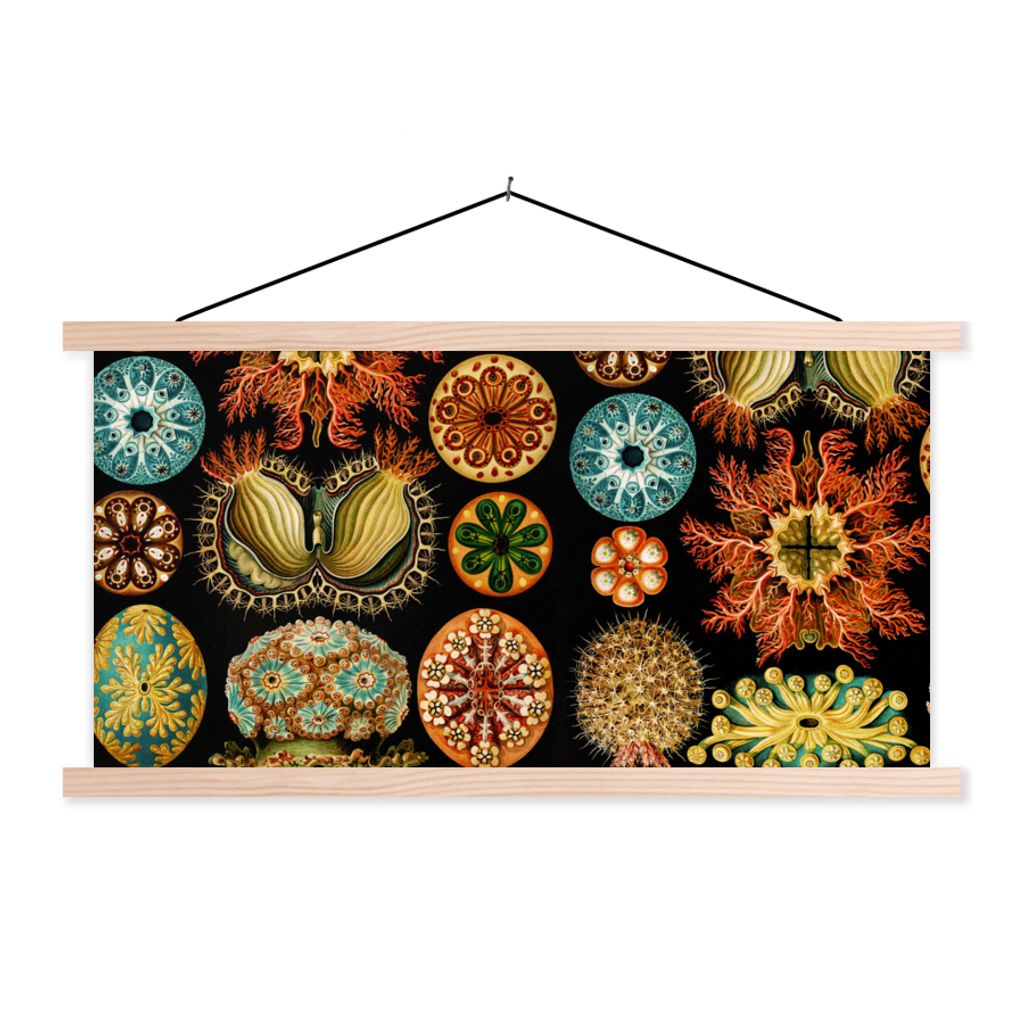 MuchoWow Textilposter Vintage - Ernst Haeckel - Meerestier - Natur - Meer - Kunst 60x30 cm mit holzfarbenen Rahmen - Dekoration