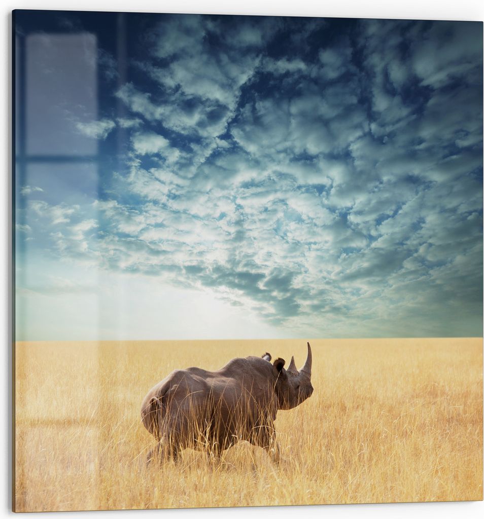 DEQORI Küchenrückwand Glas 60x60 cm 'Goldene Wildnis' Spritzschutz Bad Rückwand Küche