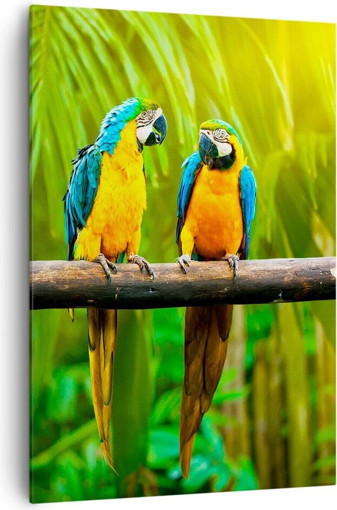 Bild auf Leinwand - Leinwandbild - Einteilig - Papageien Collorful Natur Vögel - 70x100cm - Wand Bild - Wandbilder - Leinwanddruck - Wanddekoratio...