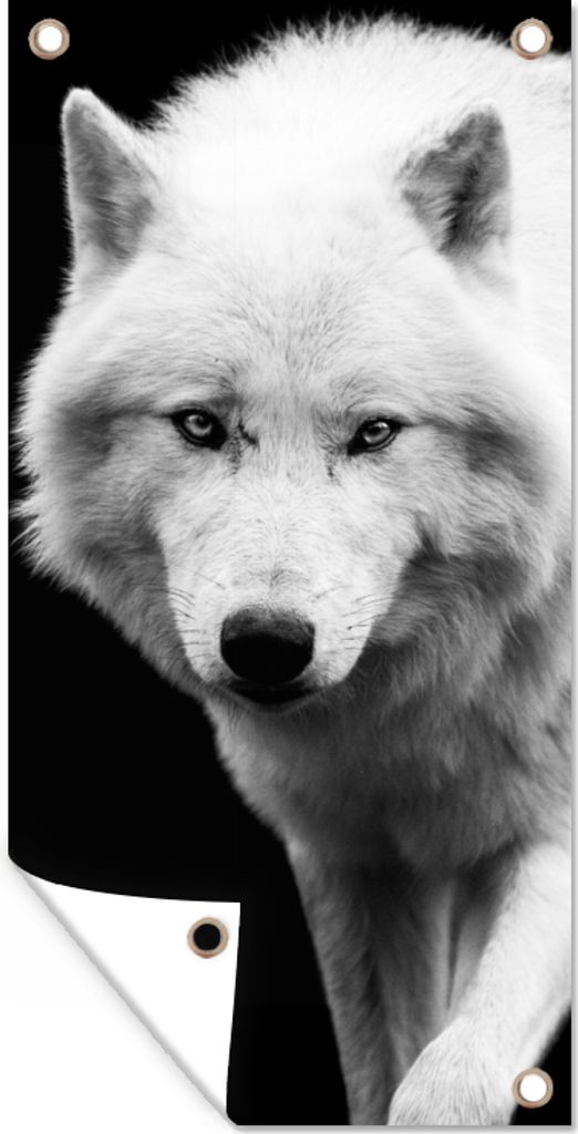 MuchoWow 80x160 cm Outdoor-Poster Gartendeko Sichtschutz Garten Poster für den Garten Wolf - Tier - Schwarz - Weiß