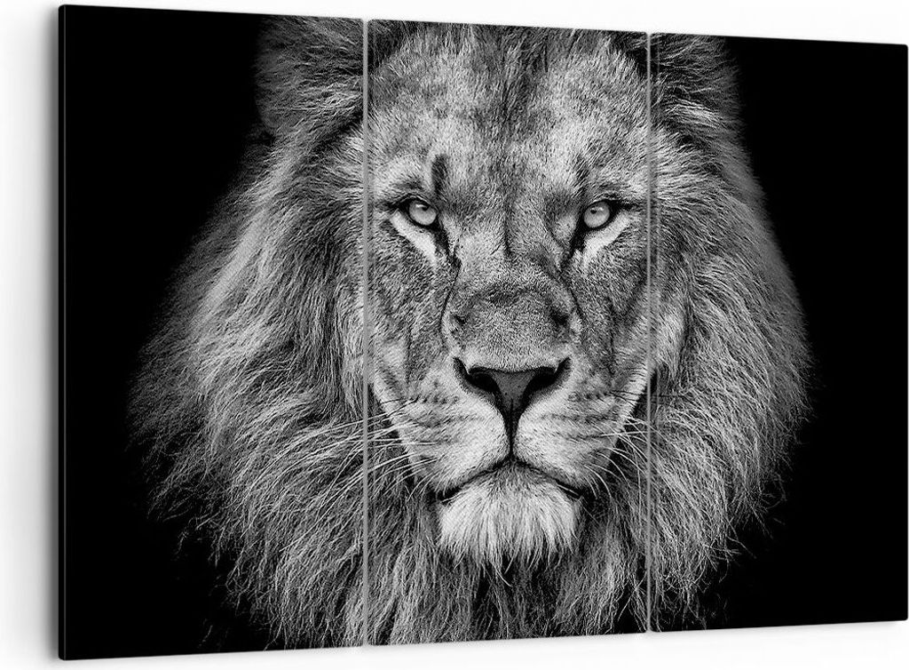 Bild auf Leinwand - Leinwandbild - 3 Teile - Porträt Löwe Schwarzweiß - 105x70cm - Wand Bild - Wanddeko - Wandbilder - Leinwanddruck - Bilder - ...