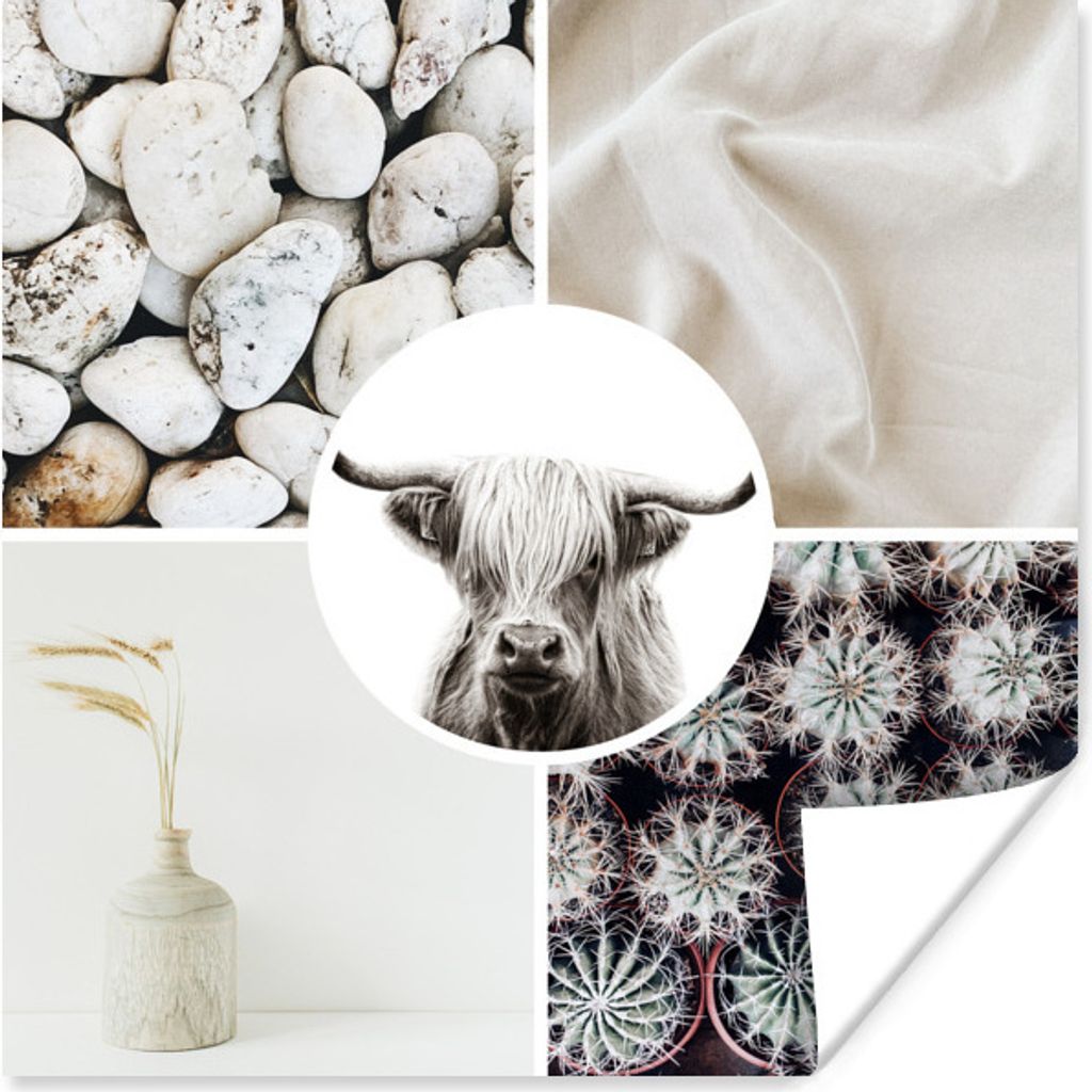 MuchoWow® Poster Schottisches Hochlandrind - Steine - Produktbild 