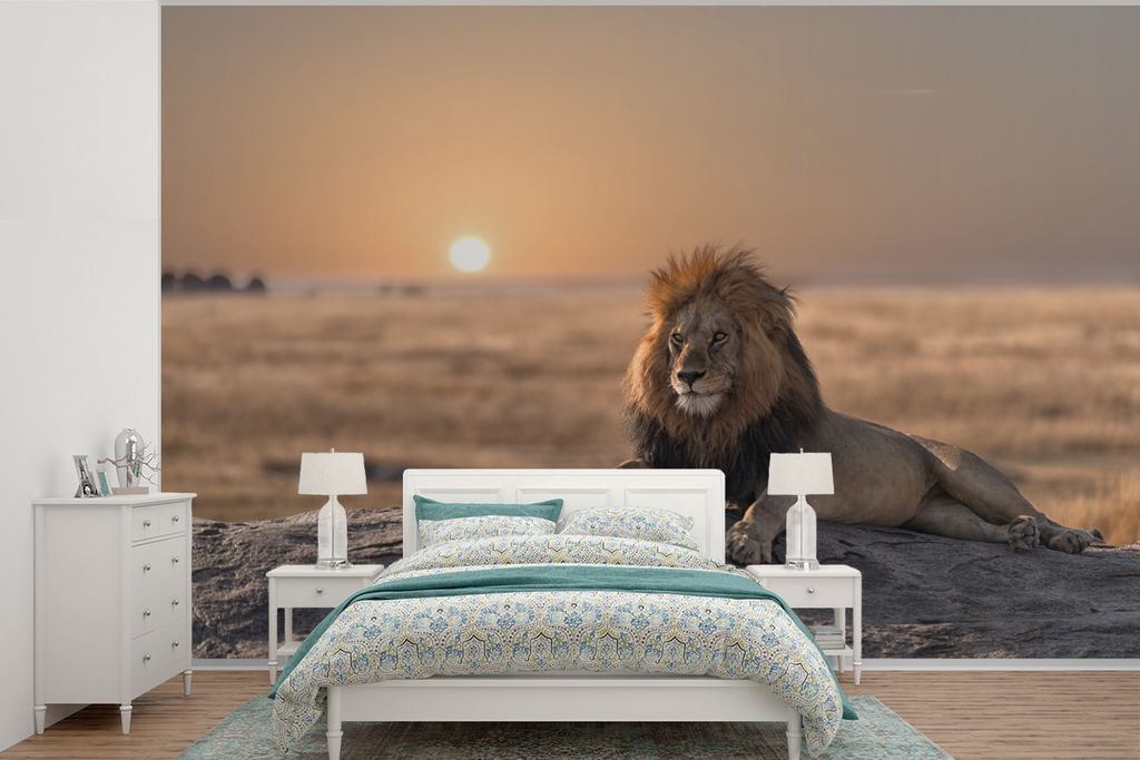 MuchoWow Fototapete für Wohnzimmer oder Schlafzimmer Wandtapete Vinyl Motivtapete Löwe - Sonne - Afrika - 450x300 cm - Gemusterte
