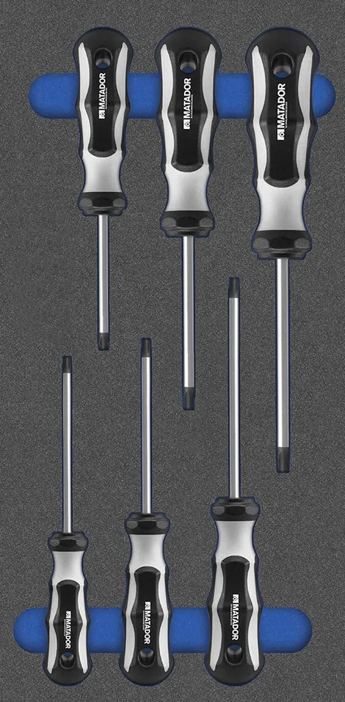 Tournevis Torx MTS 6 Pièces : Kit Idéal pour Réparations Automobiles 1/3