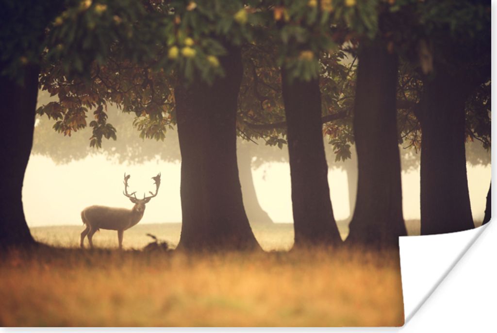 MuchoWow Poster Hirsche - Bäume - Wald 120x80 cm - Bilder